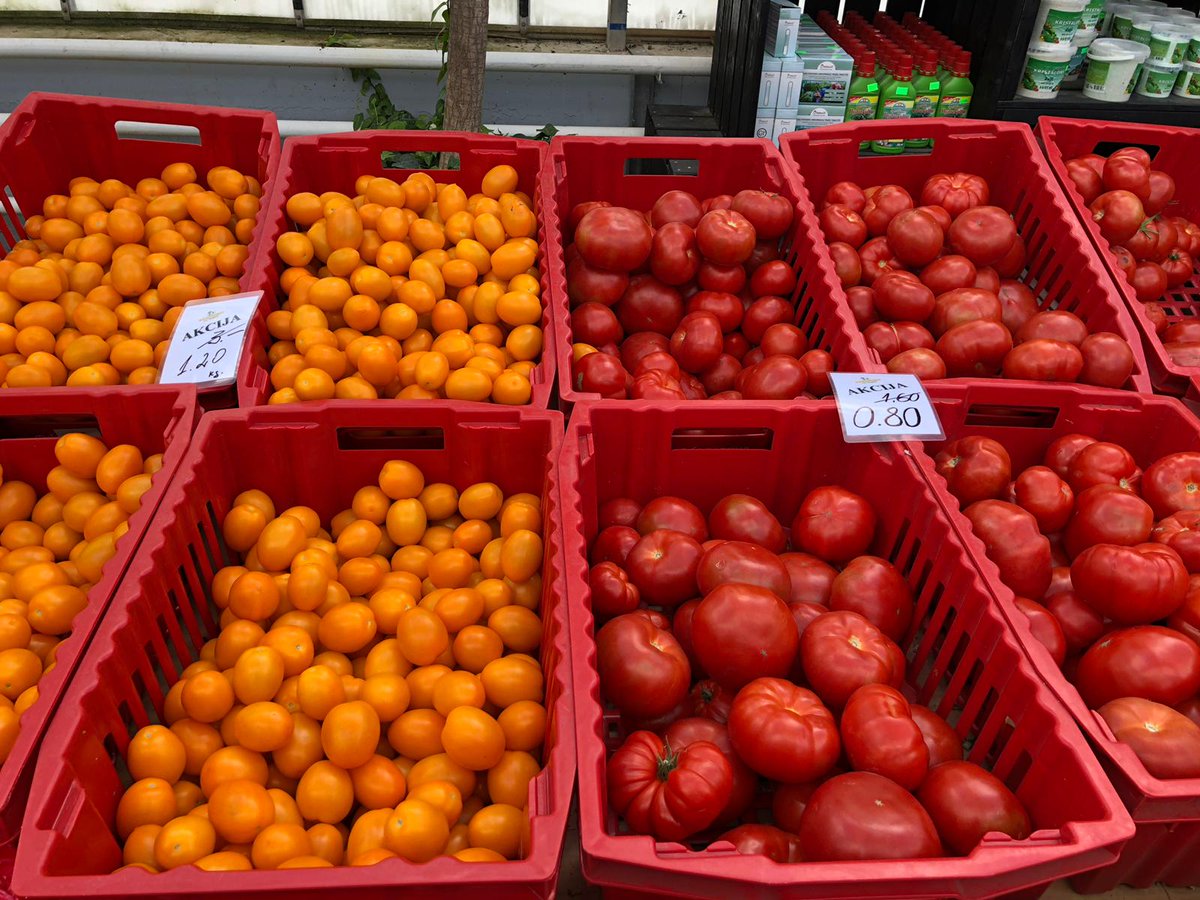 Akcija tomātiem! Atlaide spēkā kamēr prece ir noliktavā.