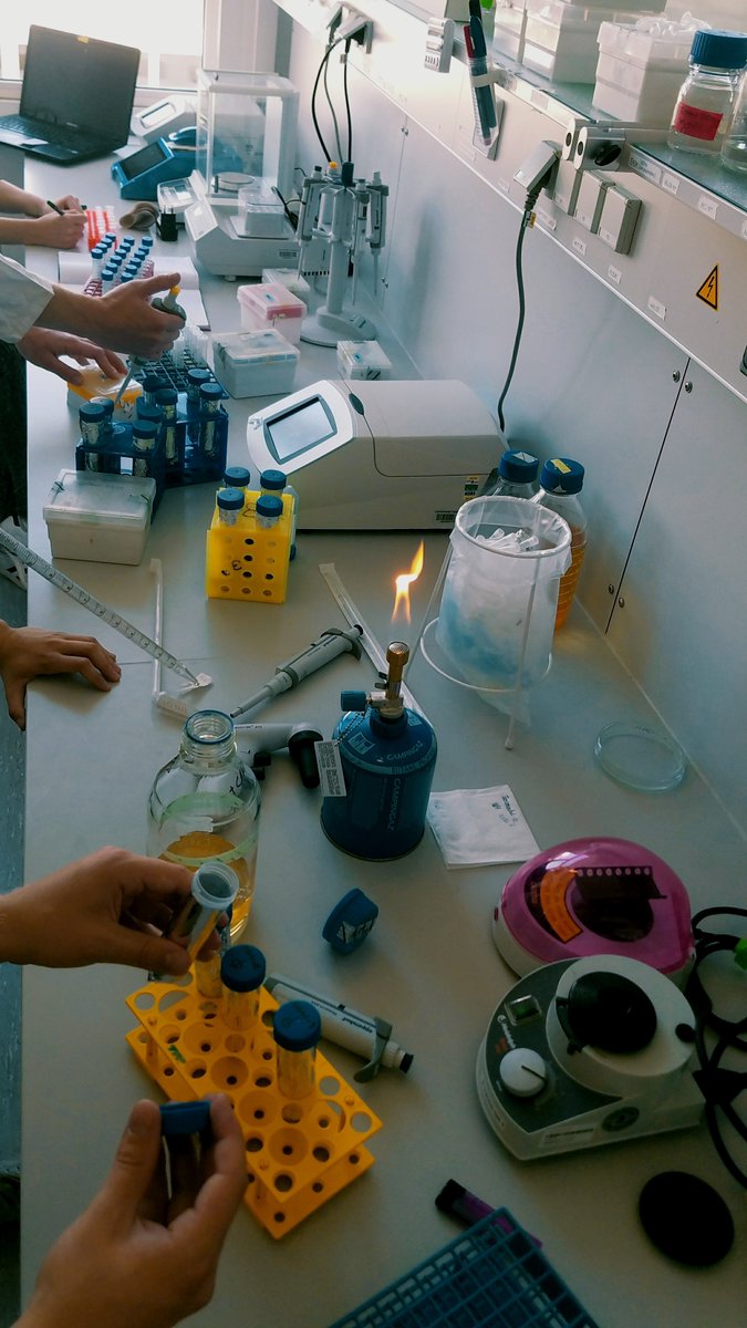 iGEM_Hamburg's tweet image. Too many cooks spoil the broth - hopefully not 😁
#igem #igem2018 #interlab #teamwork #synbio