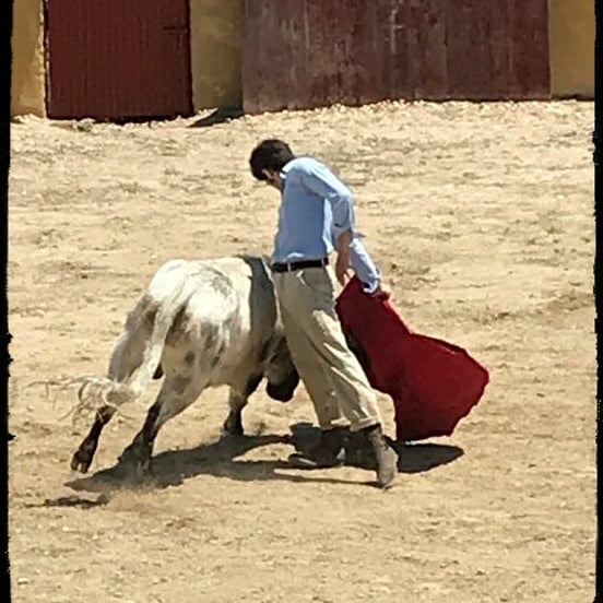 fincatriana's tweet photo. ...días de exámenes en casa...con un TORERO que tiene mucho que decir.... JUAN MANUEL JIMÉNEZ . https://t.co/1jsOWgpRuo