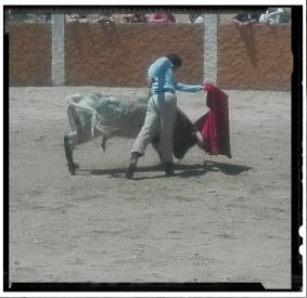 fincatriana's tweet photo. ...días de exámenes en casa...con un TORERO que tiene mucho que decir.... JUAN MANUEL JIMÉNEZ . https://t.co/1jsOWgpRuo