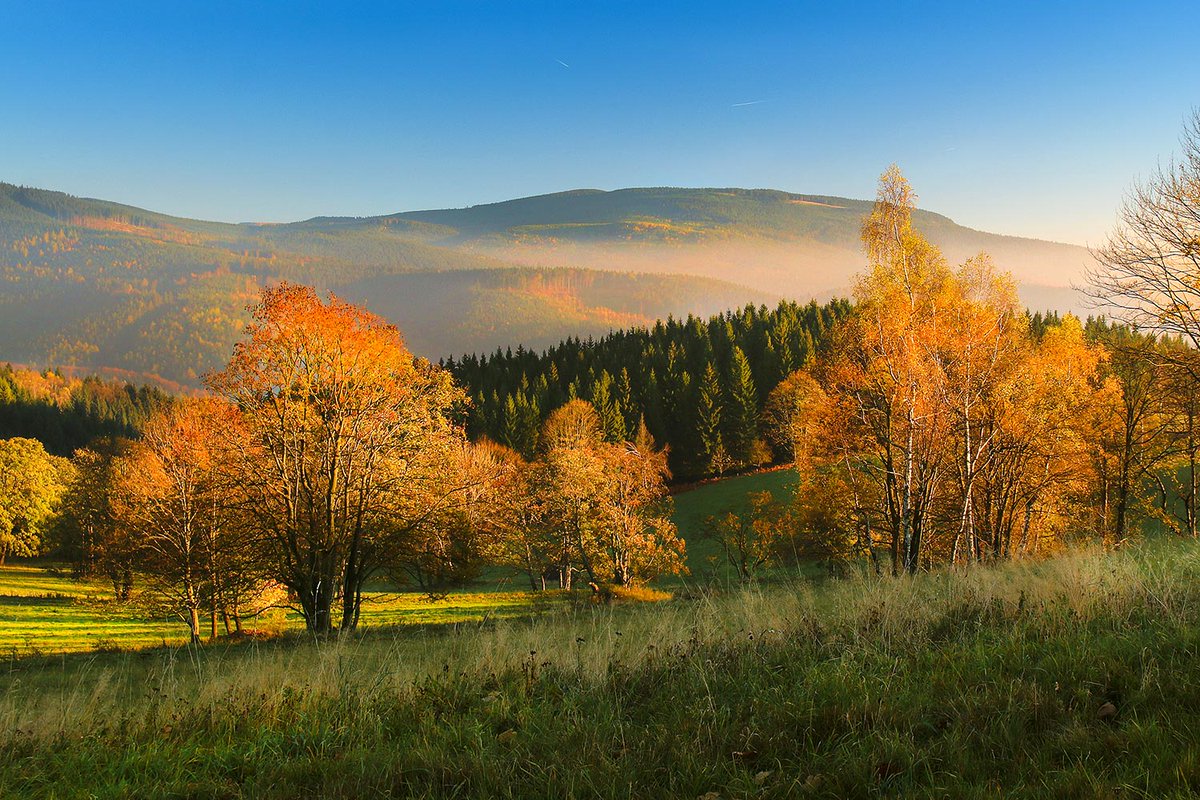 Amazing Czechia A Twitteren Jeseniky Mountains In Czech Silesia See More Great Places In Czechia Https T Co Hvjfo1bkyq Visitczechia Mountains Slezsko Silesia Autumn Travel Wanderlust Discoverczechia Amazingczechia Europe Landscape