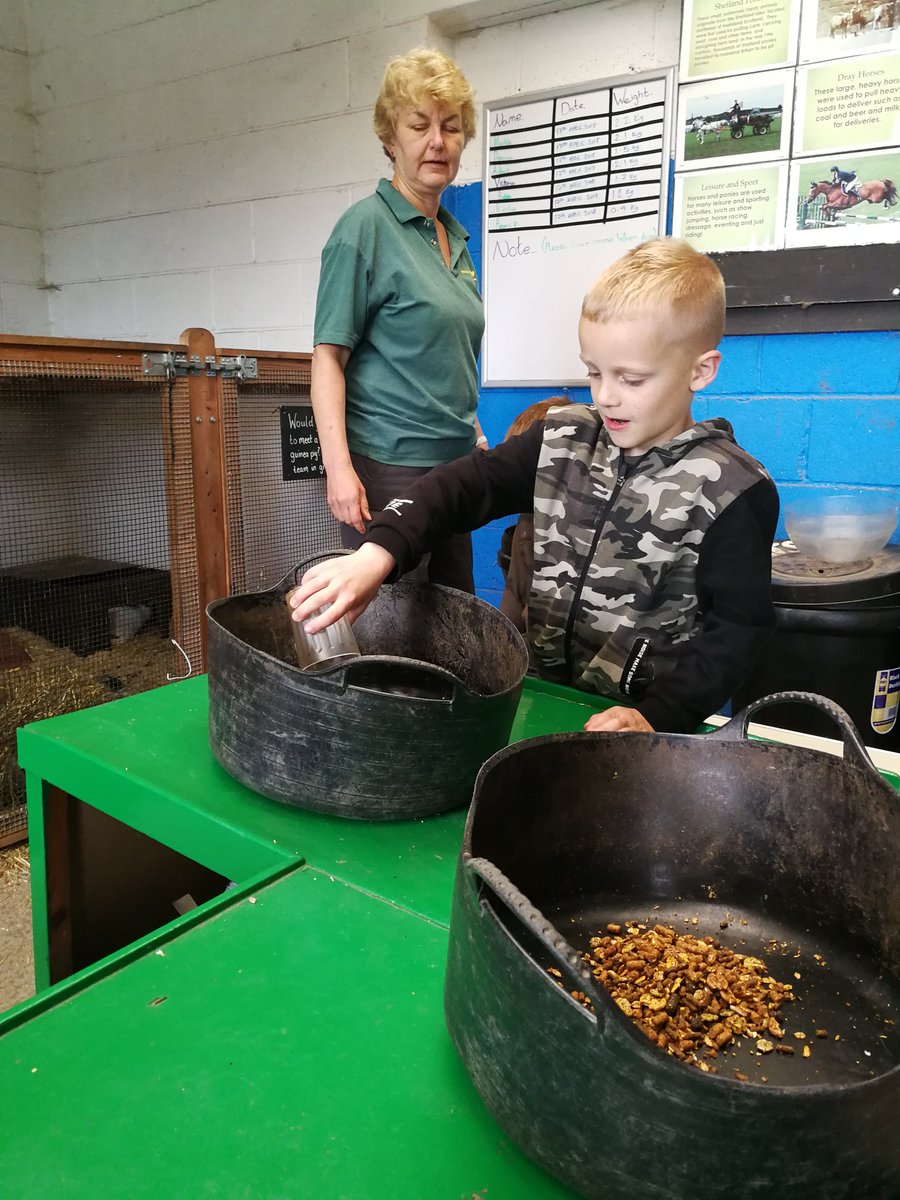 Y2Stradbroke's tweet photo. @StradbrokePri Time to start our farm jobs #feedingtime 🐐🐓🐇 #WhirlowHallFarm https://t.co/O8eojK1eJu
