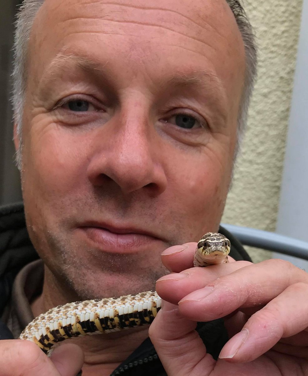 Hognose, what more can I say?!