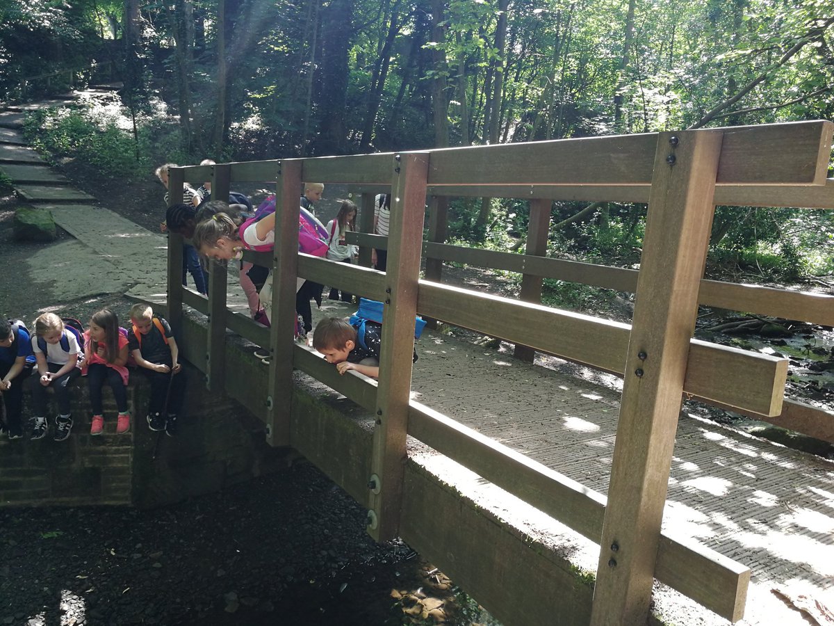 Y2Stradbroke's tweet photo. @StradbrokePri Everyone loves a pooh stick race .... https://t.co/SkB0aUDzSs