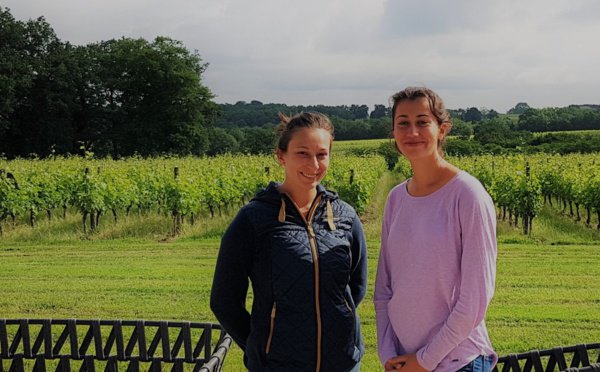 Charlotte Guillon en stage au château Caillivet Sous la houlette de Florianne Asso, Maître de Chai et Chef de Culture de cette belle exploitation, Charlotte découvre le travail de la vigne et du vin. Elle a la chance d'être accueillie par une... ecole-bordelaise-du-vin.fr/Charlotte-Guil…