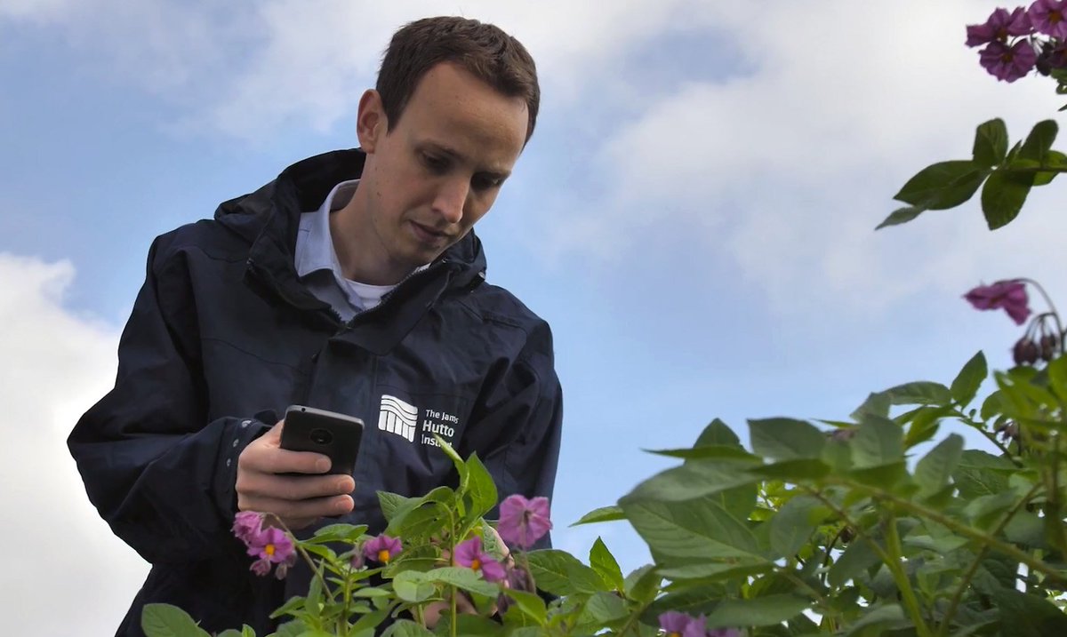 pauldshaw's tweet photo. @huttonics very own @BazRaubach featuring in the new @SEFARIscot video. This is one of the Android apps @BuntataApp that we develop to help farmers identify disease in potato in Africa but has many other potential uses too. https://t.co/HJXNjDREij #buntata #gaelicforpotato https://t.co/d4iDfhs8Xp