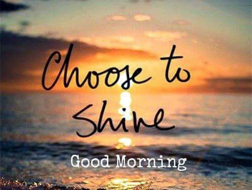 ~ Good morning tweeters ! Choose to shine ! Don’t ever let anyone try to dim that shine...you are so worthy of your light so shine it bright ! ✨💛✌🏻#ThursdayMorning #ThursdayMotivation #ThursdayThoughts