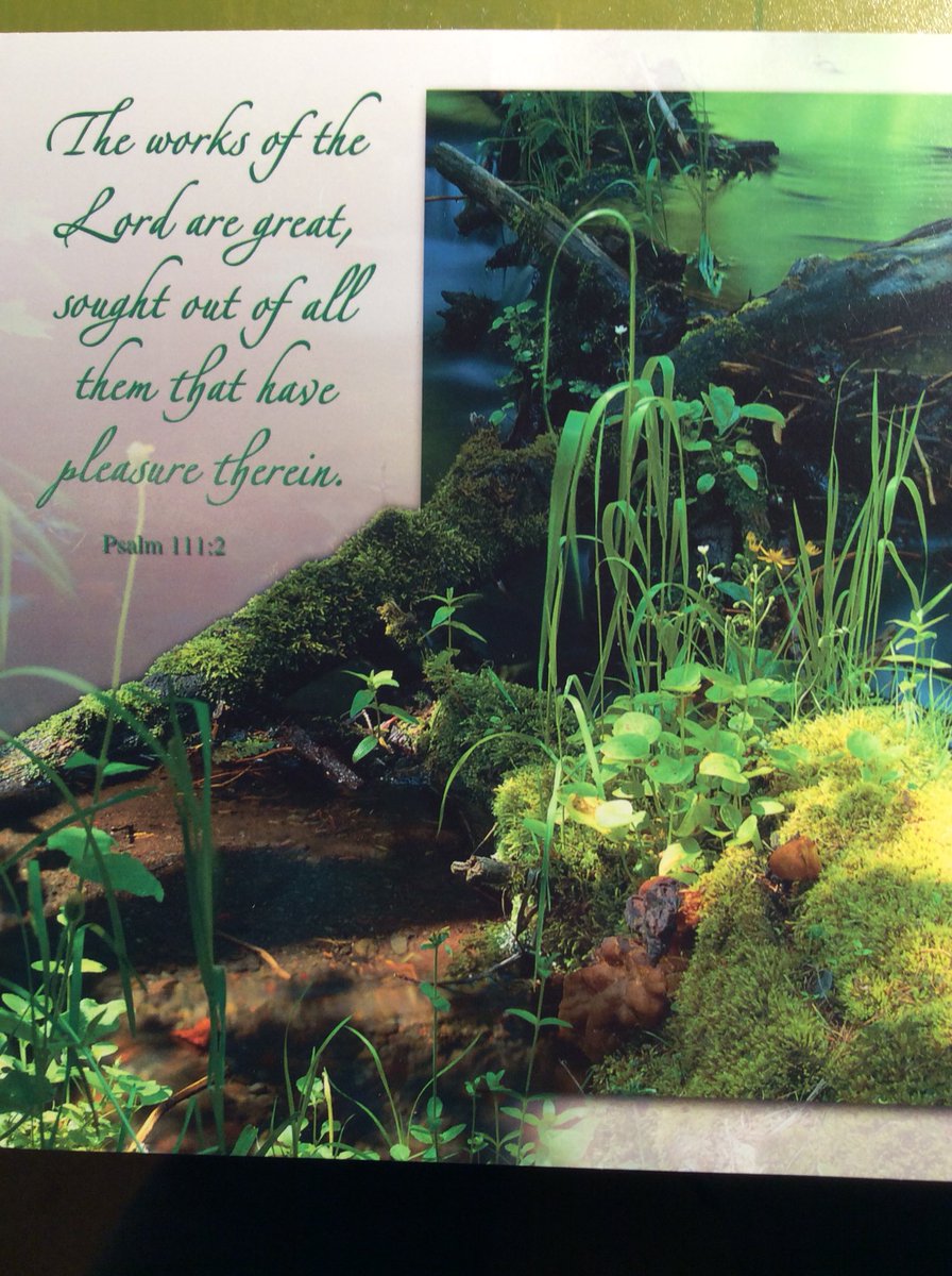 PrayingHands8's tweet photo. From the Old Testament : #Cathlic #christian #bible https://t.co/4ofySyMapp