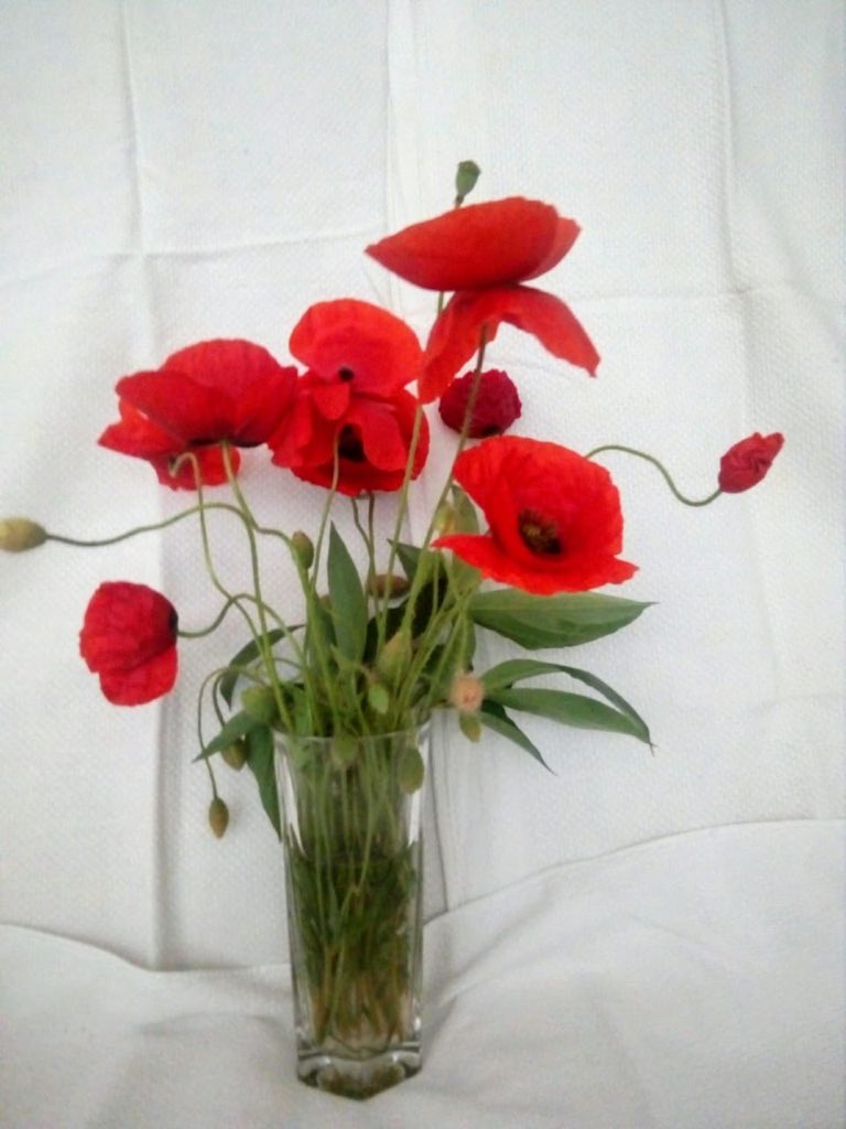   Happy Birthday to Mark Wahlberg! 
May all your dreams come true, Maestro! 