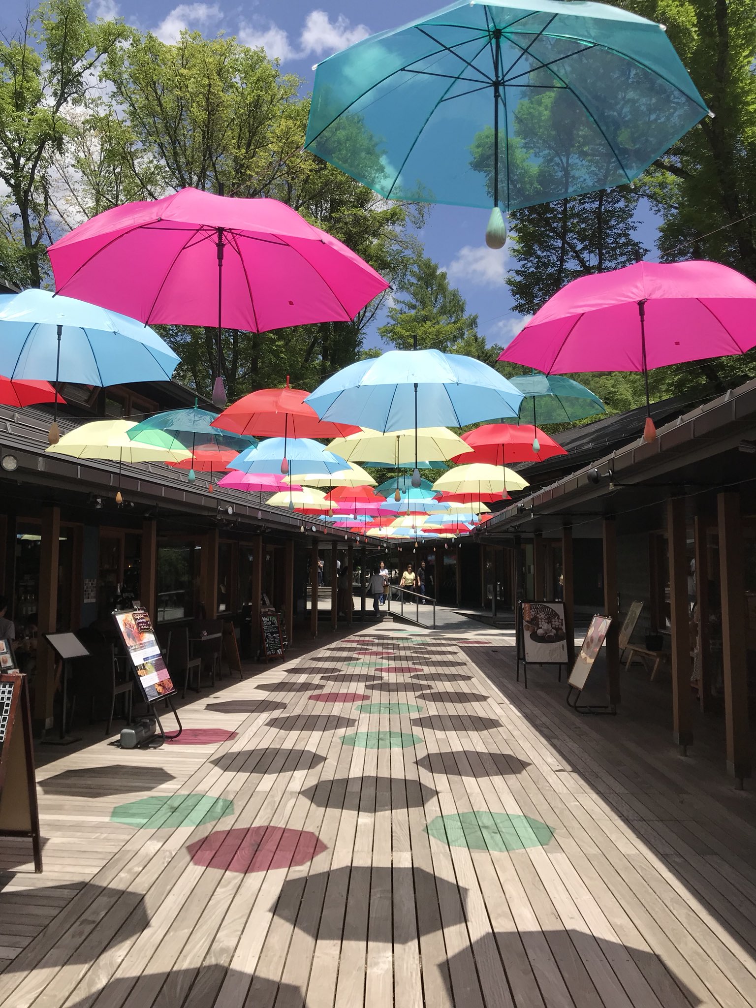 なごみ 色とりどりの傘 綺麗でした O 軽井沢 ハルニレテラス T Co Diqcx1nzab Twitter なごみ 色とりどりの傘 綺麗でした O 軽井沢 ハルニレテラス T Co Diqcx1nzab Twitter