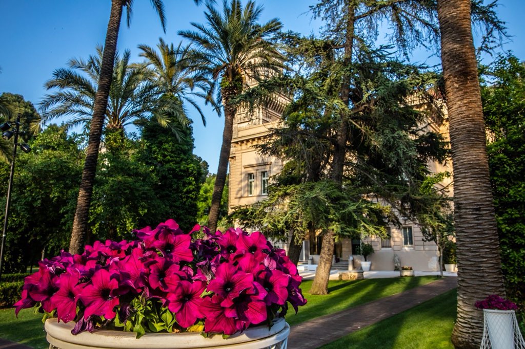 VilladeGrecis's tweet photo. “L’uomo diventerebbe folle di sogni se i fiori brillassero nel cielo e non ai suoi piedi”. 🌸
(Grigore Vieru)✍🏻

#villadeGreciseventi #Bari #Puglia https://t.co/EMLUr3kG9C