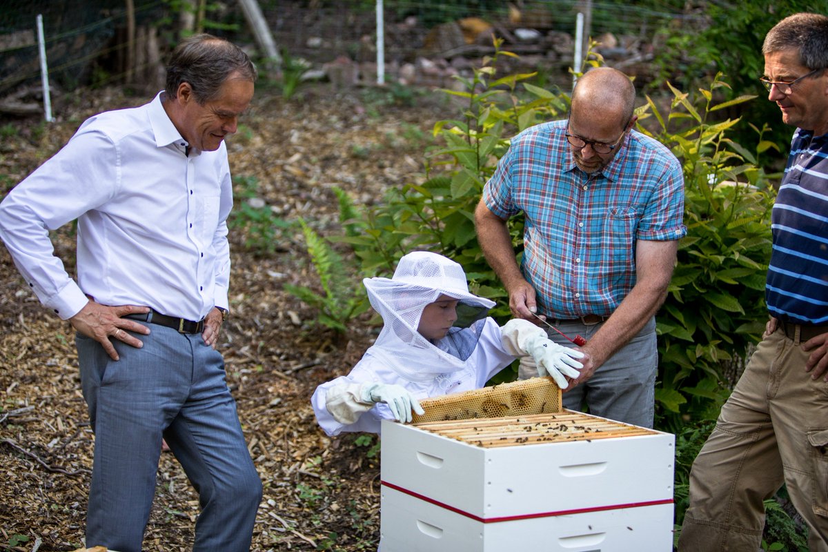 heidelberg_de's tweet photo. Lebensraum für 60.000 #Bienen: #OBWürzner übergibt neuen Bienenstock an Imkerverein. Das Projekt #HeidelBienen überzeugte bei #HolDenOberbürgermeister. Mehr dazu: https://t.co/TtY8AYX3Ue #GetTheMayor https://t.co/Zgdf1DqFoZ