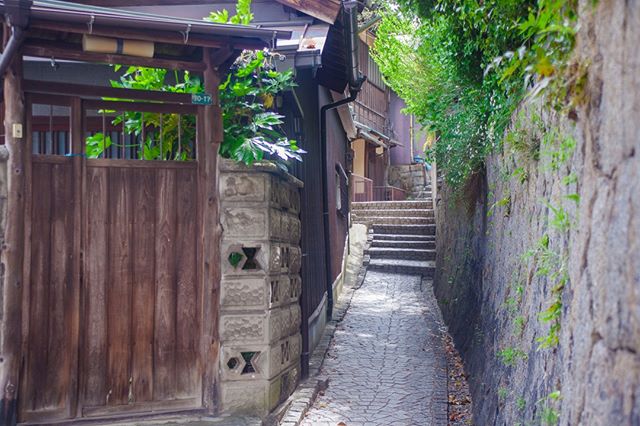 okujapantravel's tweet photo. Every quiet street has its own story to tell
#explorejapan #japan_daytime_view #japanrevealed #visitjapanjp #jp_gallery #japan_gallery #likealocal #getoutsidemore #walkingtour #walkingtours #hikingtour #forgeyourownpath #slowliving_explore #wanderings #offthebeatentrack #offtheb https://t.co/T6D5wziCJE