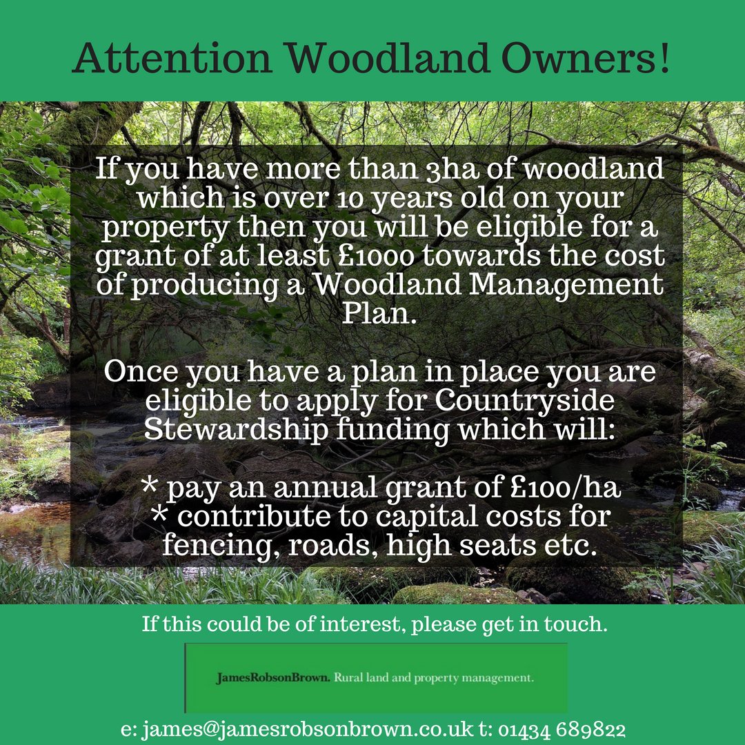 Do you own or manage a #woodland? Then you should take a look at the below and get in touch if I can help you claim yours #northumberland #cumbria #grants