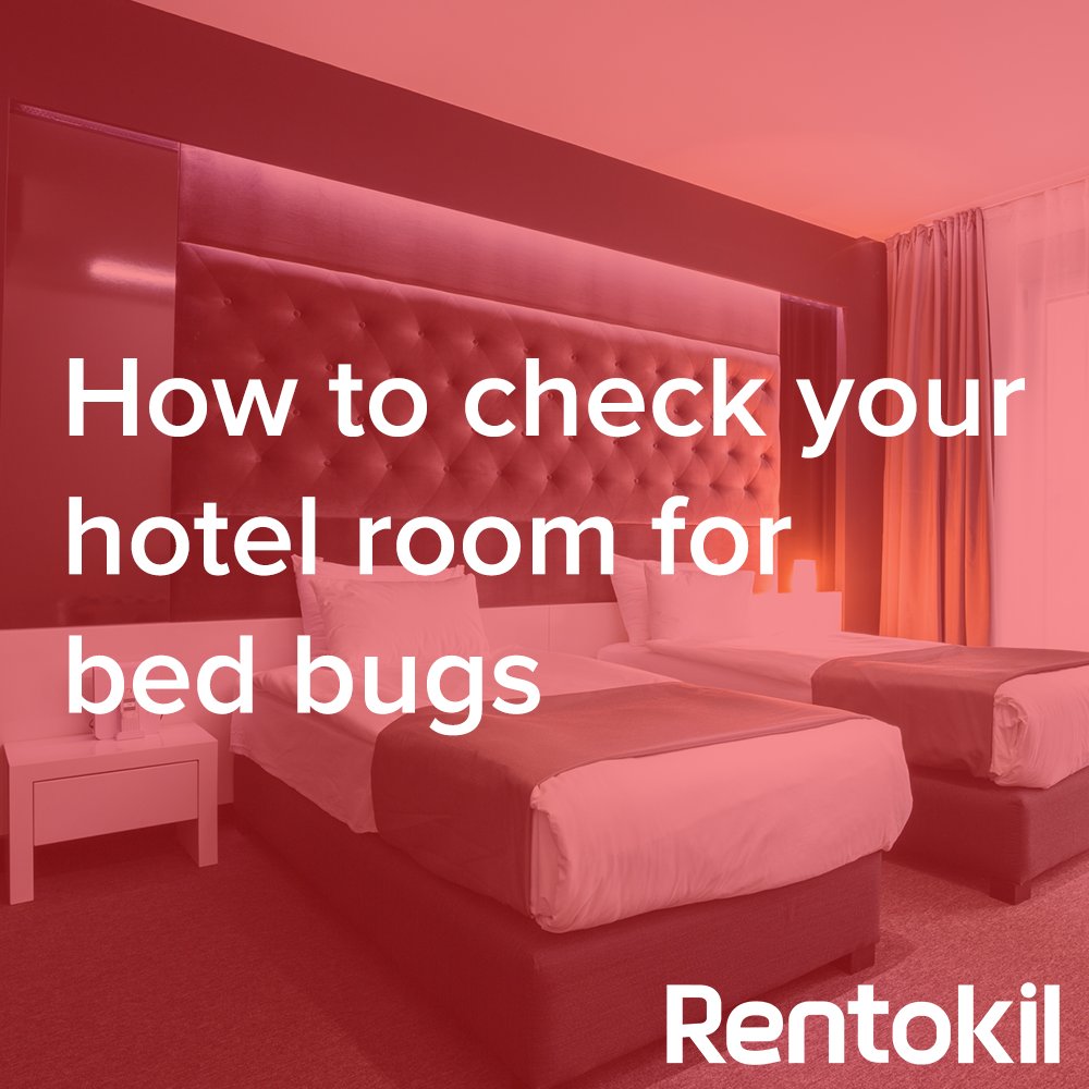 Pest Control On Twitter How To Check Your Hotel Room For