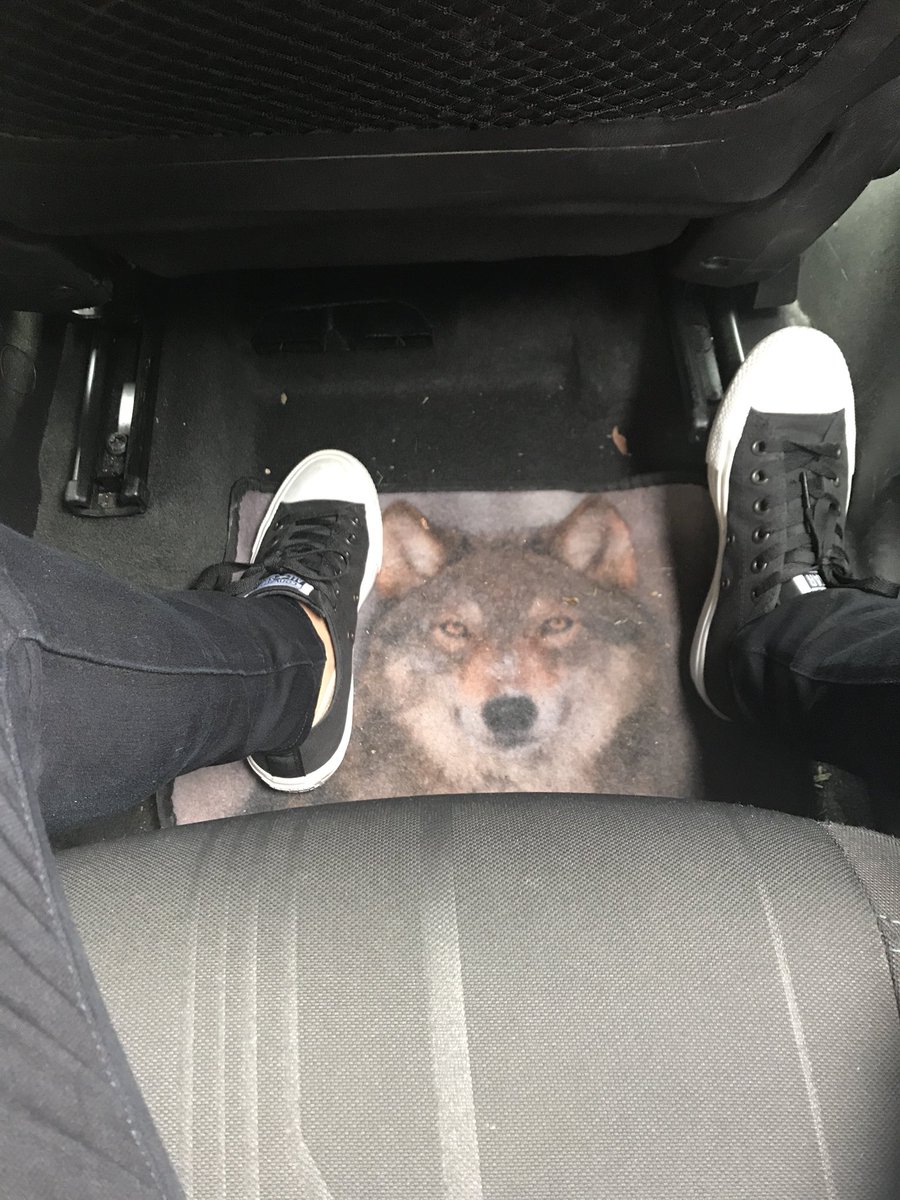 It’s the little things. On the way to <a href="/CultureConUSA/">CultureCon</a> #WolfFlow
