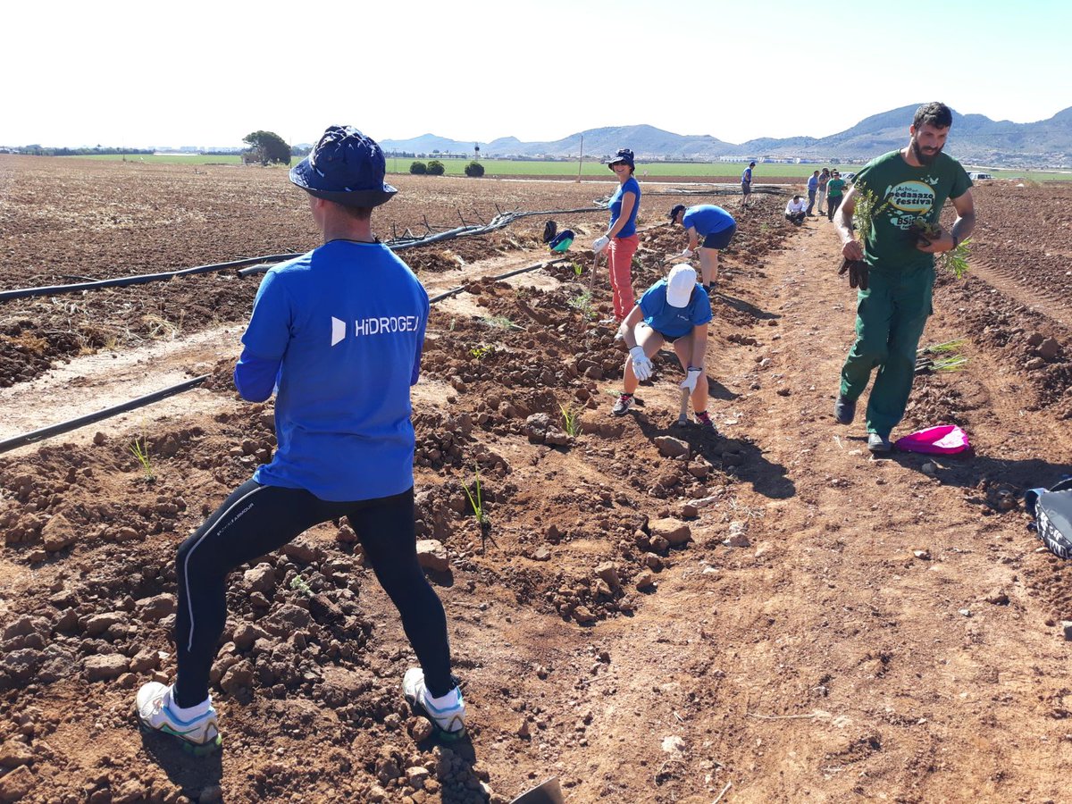 veolia_rmurcia's tweet photo. Desde hoy crecerán en la parcela de Alonso plantas autóctonas como el palmito, lavanda, madroño, baladre y mirto para frenar la aportación de nitratos al #MarMenor. Gracias a @asociacionanse @CR_ArcoSur y a la #MareaAzulHidrogea por hacerlo posible. #DíaMundialdelMedioAmbiente https://t.co/SxwxTCl9hB