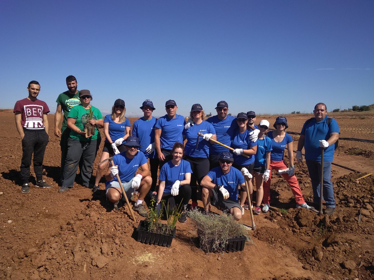 veolia_rmurcia's tweet photo. Desde hoy crecerán en la parcela de Alonso plantas autóctonas como el palmito, lavanda, madroño, baladre y mirto para frenar la aportación de nitratos al #MarMenor. Gracias a @asociacionanse @CR_ArcoSur y a la #MareaAzulHidrogea por hacerlo posible. #DíaMundialdelMedioAmbiente https://t.co/SxwxTCl9hB