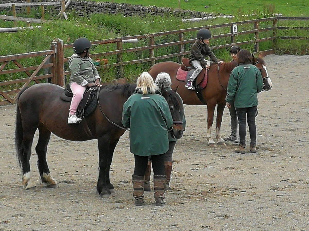 Y2Stradbroke's tweet photo. @StradbrokePri They look like Pros 🐴 #WhirlowHallFarm https://t.co/gqZTzcGess