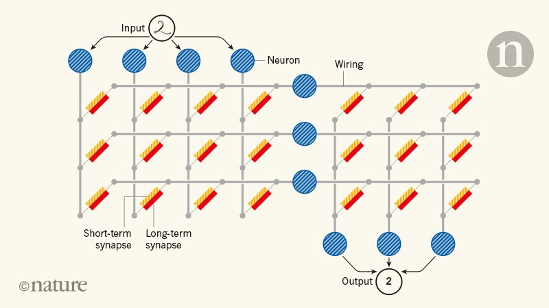 Two types of synapse are better than one for artificial neural networks
go.nature.com/2M8ifRg