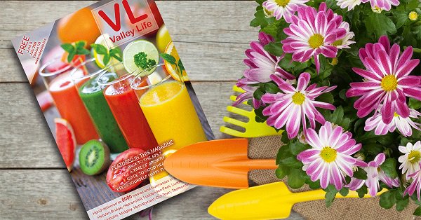 ValleyLifeMg's tweet photo. Look out for the @ValleyLifeMg  https://t.co/hZGkHnzOaH Valley Life Magazine June/July Edition that will be hitting your doormats over the next week. 100 pages of articles for you to enjoy and advertising from local businesses. https://t.co/KAinAVItf5