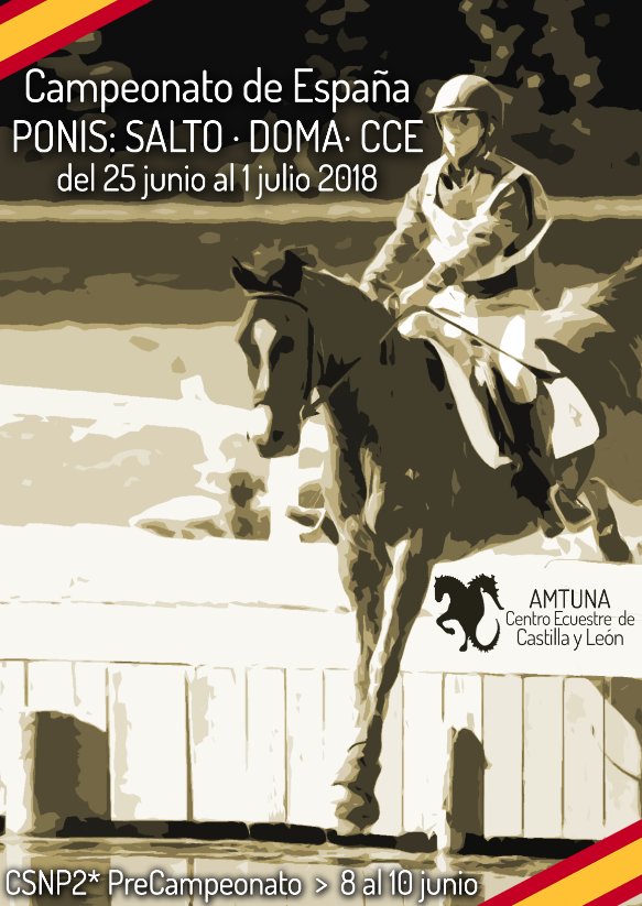 CaballusWeb's tweet photo. Campeonato de España de Ponis – DC &amp; SO &amp; CCE https://t.co/0LcRQI4rag https://t.co/hNbH49mCmT