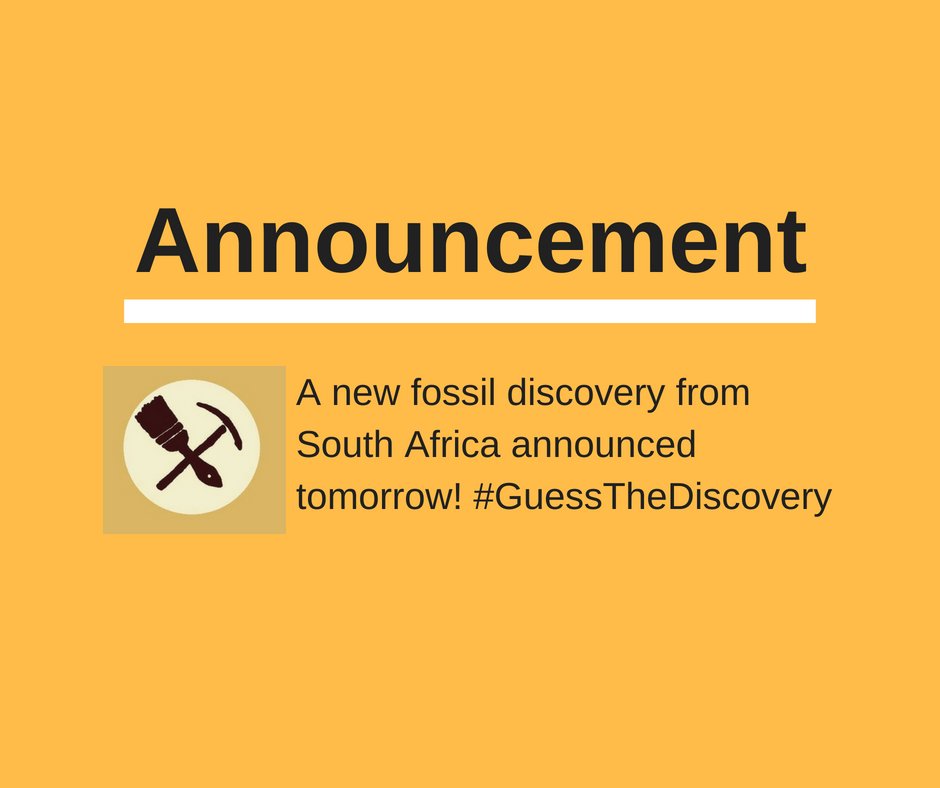GenusPalaeo's tweet photo. We've been quiet because we have big news o the horizon!
Keep an eye out for an announcement soon!
#SAFossils #newdiscovery @NRF_News @NRF_SAASTA https://t.co/IXN8FL4hXy