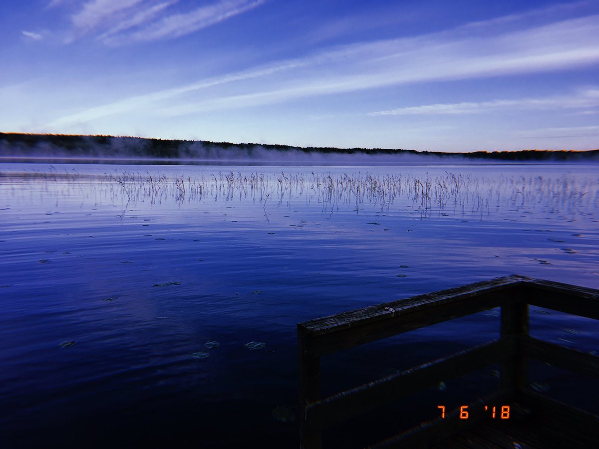 diebuttry's tweet image. 