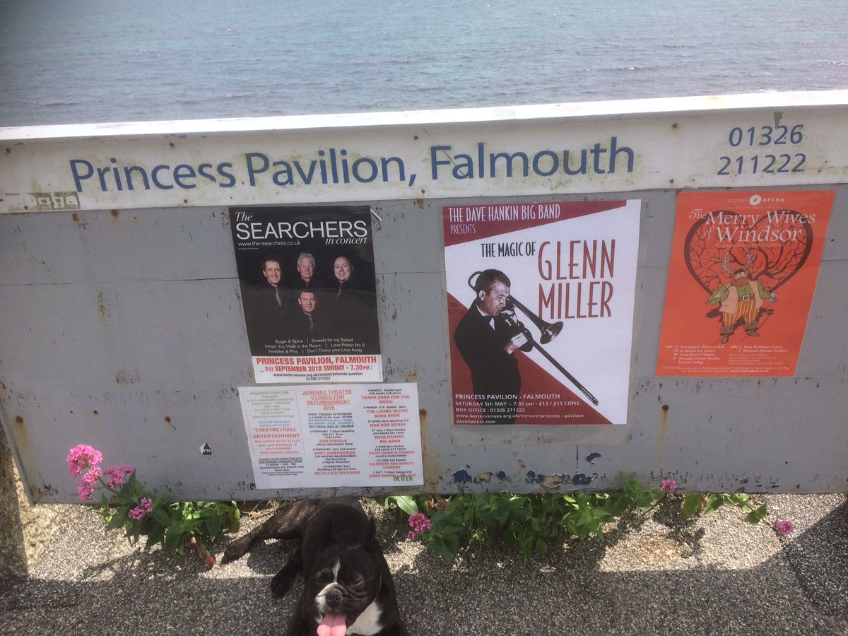 Save Our Princess Pavilion tweet media