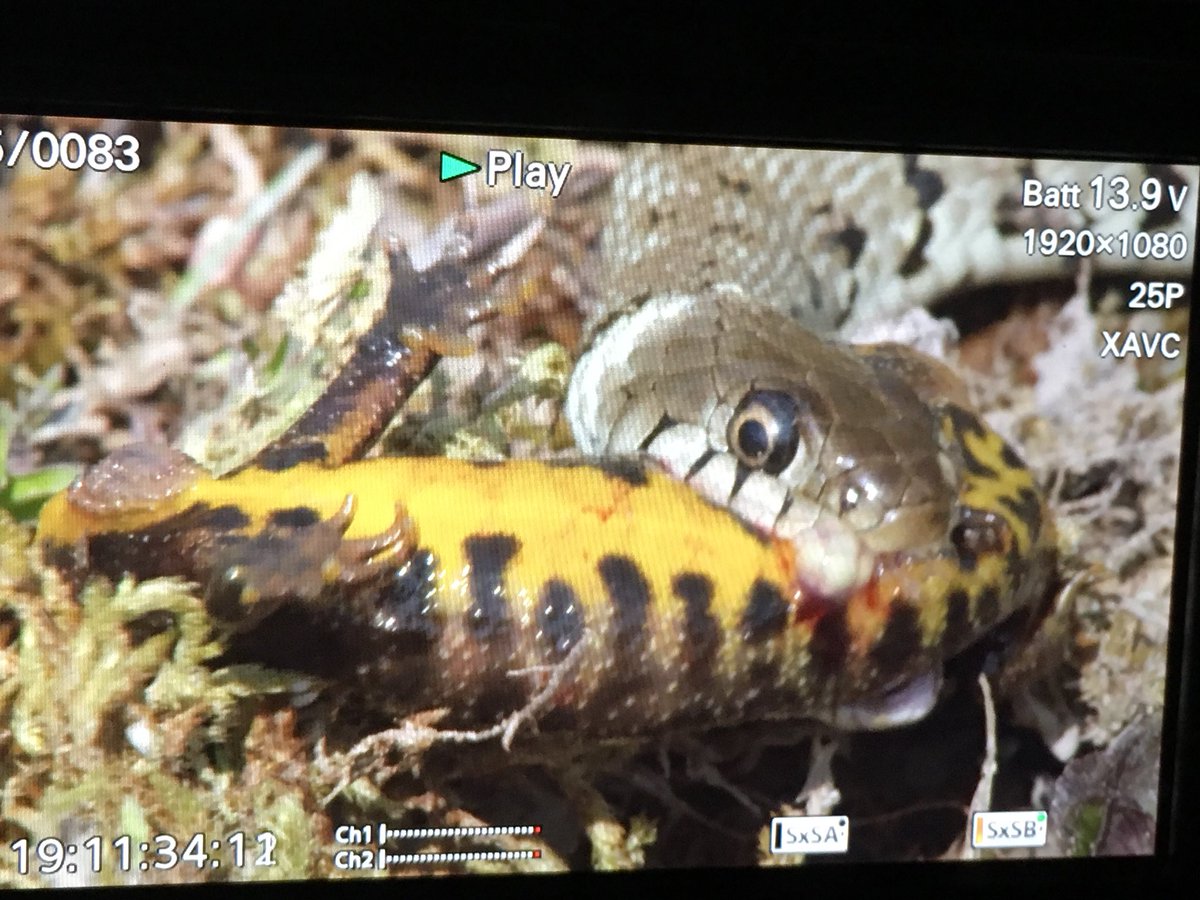 richard taylor-jones tweet media