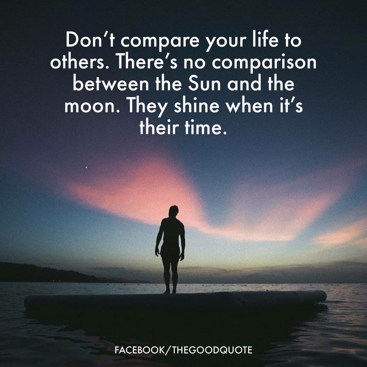 SFTSorg's tweet photo. https://t.co/4EWXkh72h9