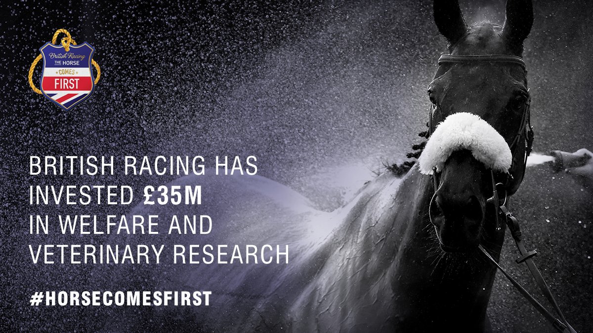 Newton Abbot Races tweet media