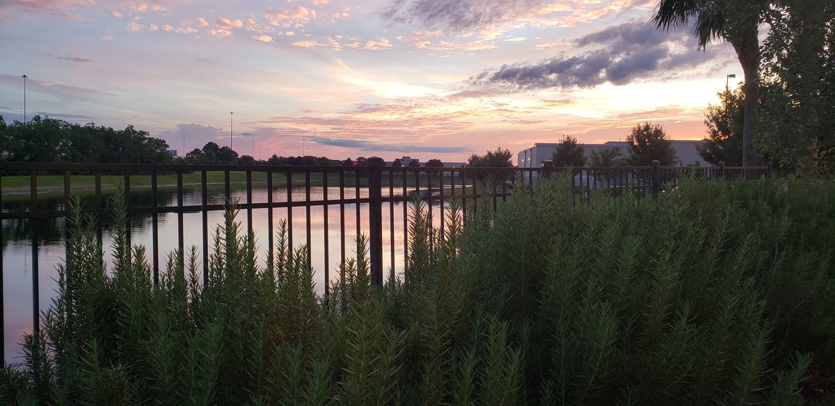 MediaMurdoch's tweet photo. #sunsets https://t.co/S2dYss4NSd