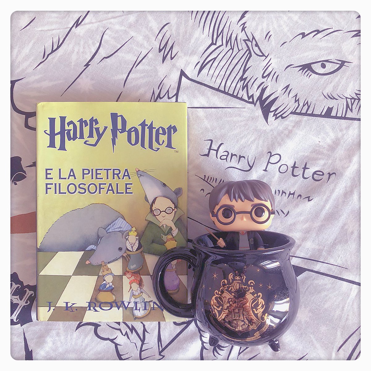 MorganaAltea's tweet photo. “Io posso insegnarvi a imbottigliare la fama, la gloria, addirittura la morte...” #englishliterature #harrypotter #harrypotterandthephilosophersstone #severussnape #severuspiton #slytherin #jkrowling #salanieditore #letteraturainglese #book #booklover #bookoflife #bookstagram https://t.co/jAC9s0oHzb