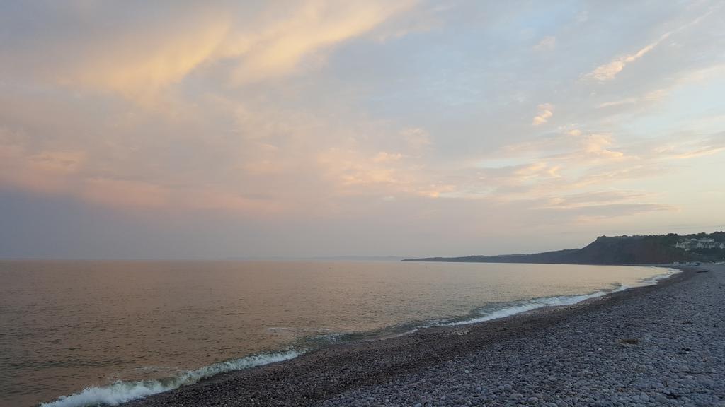edgelarks's tweet image. Fire on the beach with friends. Lovely swim too. #devonisheaven