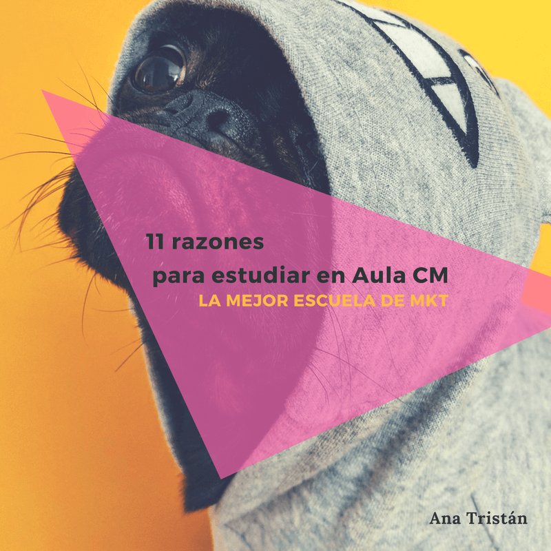 Anatristana's tweet photo. El @EquipoCiento8 termina el curso #CommunityManager de @aulaCM ❤️
He escrito un #post de despedida en el que te cuento por qué Aula CM es el mejor centro de formación de #MarketingDigital del mundo mundial 🦄

👉https://t.co/49jFTuTkTE

#WordPress #CommunityEngagement #CPC https://t.co/bHAyFPeMuL