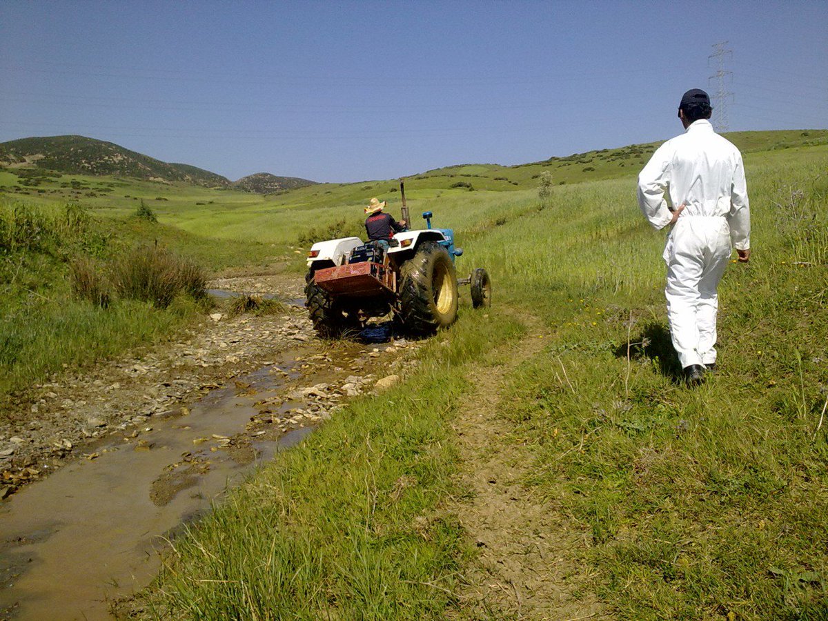iaeaorg's tweet photo. ๐
How to win a fight against #soil erosion: it doesnโt involve fists, but it does involve radioactive atoms.
๐พLearn how #nuclear science helps #farmers in #Morocco: https://t.co/wMAxGoe93F https://t.co/ebX8eWBIwR
