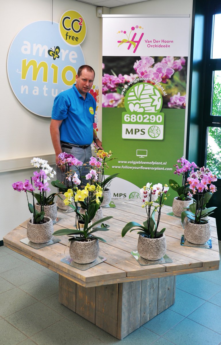 Vandaag was MPS aanwezig bij @AmoreMioOrchids tijdens de Orchid Inspiration Days. Mooi om te zien hoe de orchideeën gekweekt worden in een aardgas-vrije kas. #duurzaam #sierteelt