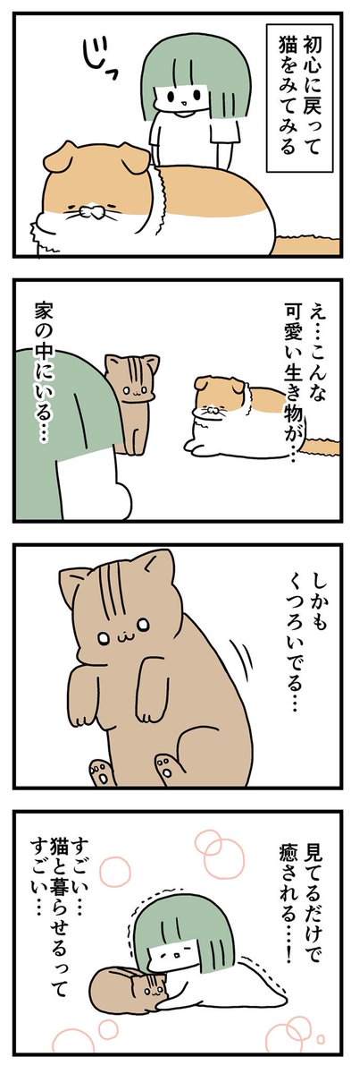 猫と暮らす 
 