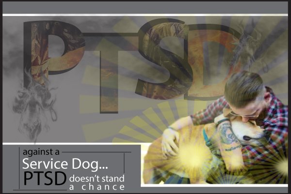 k9sforwarriors's tweet photo. Service dogs are the answer! #PTSDAwarenessMonth #ServiceDogsSaveLives https://t.co/kznYL7Ptk9