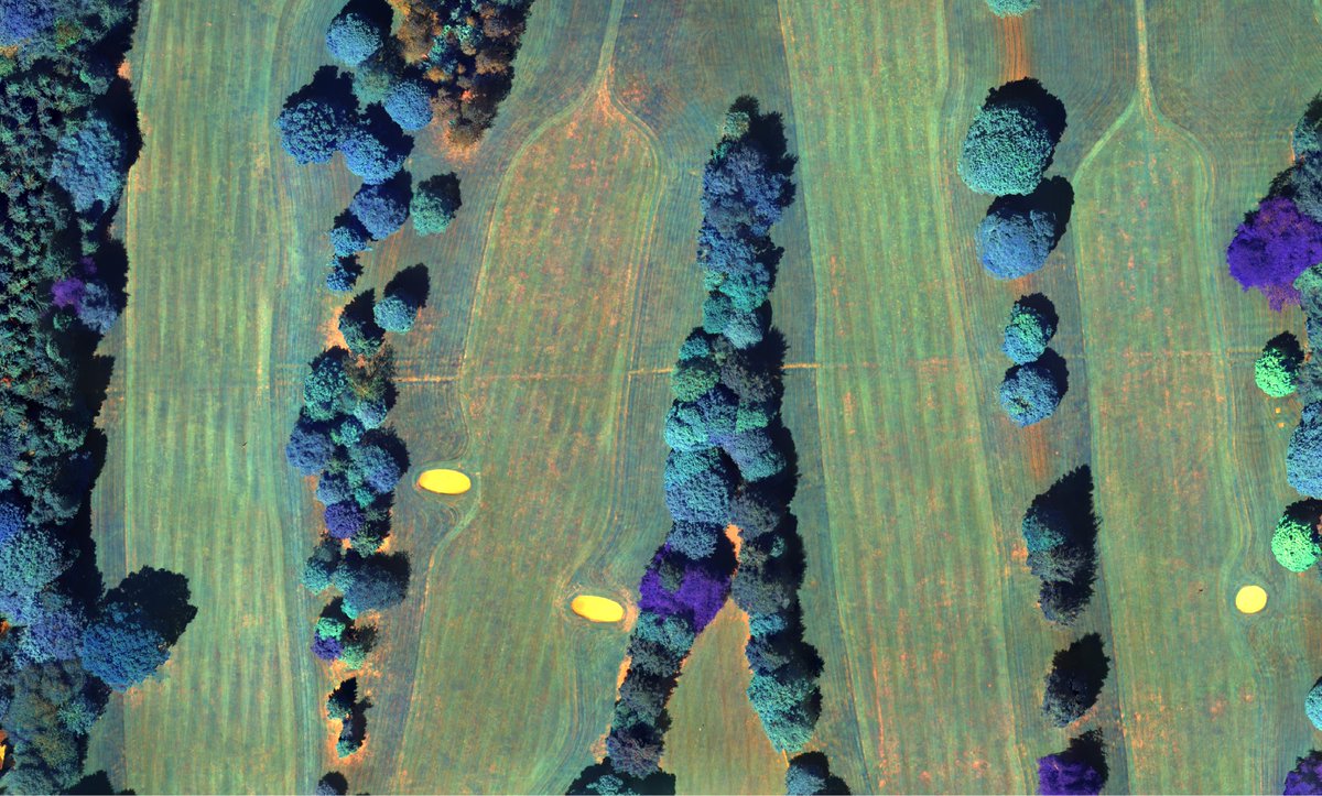 eagleisystems's tweet photo. Golf course in Infrared #drone #golf #scotland #infrared #multispectral #eagleisystems #coolstuff #aerialphotography https://t.co/ivYBTcdAzu