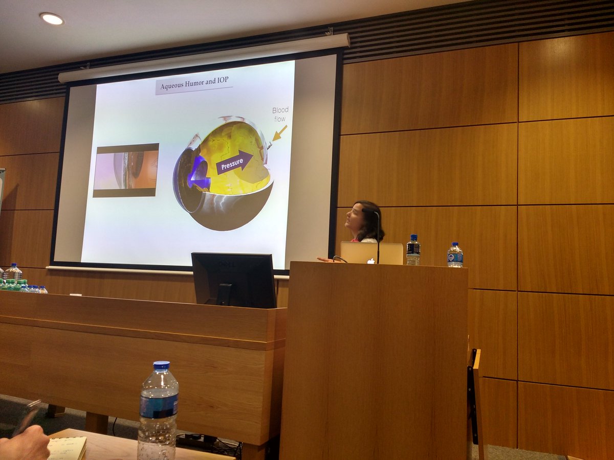 3dneonet's tweet photo. #3DNEONET Fellow Hanan giving a great talk about melatonin roles in the eye at #NFOTII https://t.co/86WxaWRopU