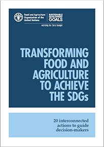 FAOSDGs's tweet photo. #Publication: Transforming #food and #agriculture to achieve the #SDGs 

📘https://t.co/ghSkwFhmwe📖

#CL159 #GlobalGoals https://t.co/xzl1ZlS3Iz