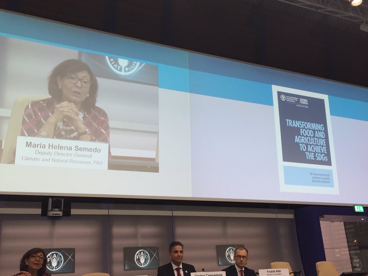 MariaLenasemedo's tweet photo. ⁦@FAO⁩ #CL159 side event on #GlobalGoals ‘From the roots of sustainable food and agriculture come the fruits of transformation’ ⁦@FAOSDGs⁩ https://t.co/RVvt8OHRIE