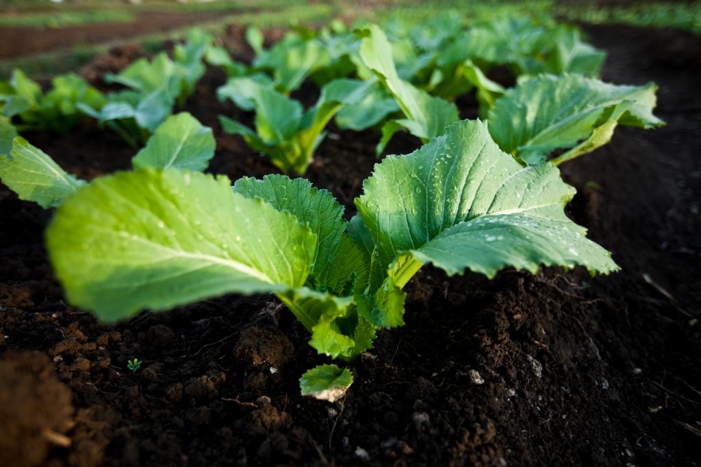 FAOenEspanol's tweet photo. 🔴 #EnDirecto: Evento del Consejo de la @FAO sobre cómo involucrar a la agricultura, la silvicultura y la pesca en la #Agenda2030.

➡️https://t.co/2PkeuxqRoj

#CL159 #ObjetivosMundiales #HambreCero https://t.co/99KkeB6ztq