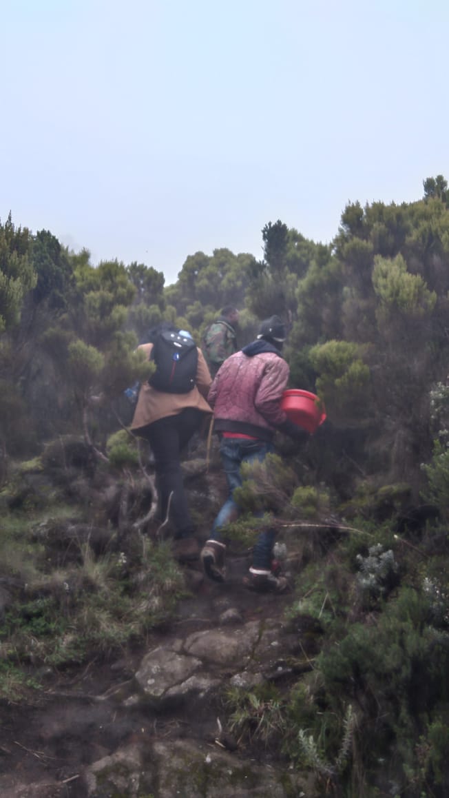 eriknjoka's tweet image. REPORTERS and rescuers scaling the cold, muddy Aberdare ranges to get to the #FlySax crash site