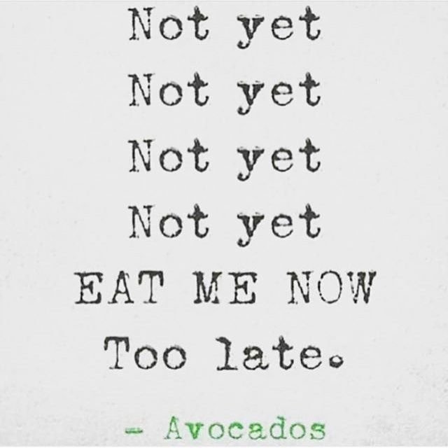 Avocado_Therapy's tweet photo. Every single time
#avocado #avocaddict https://t.co/cVpv4hLzBQ