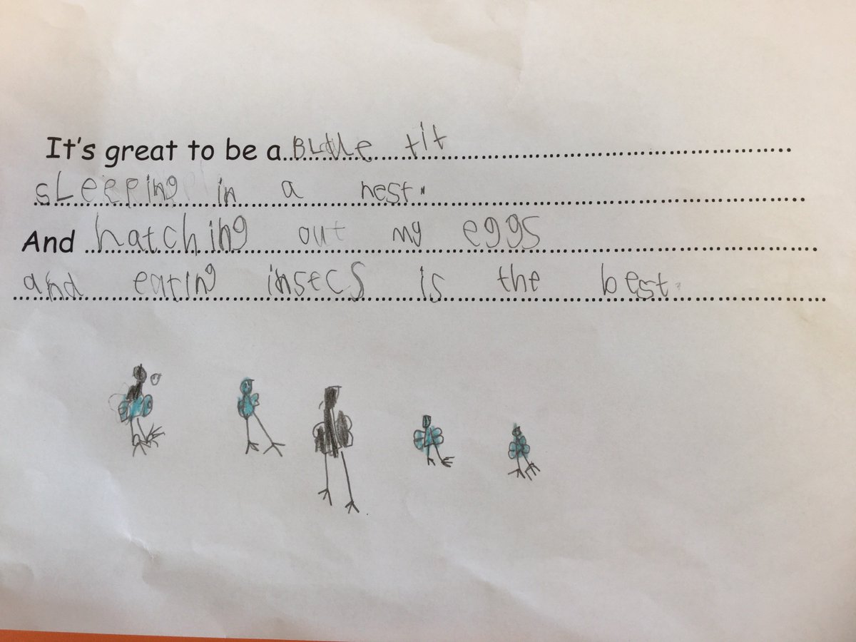 halwinhead's tweet photo. More of our fantastic poems! We worked really hard on them this morning! @BBCSpringwatch #wildacademy https://t.co/9X9lKUxFdI