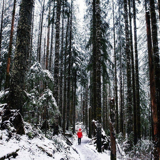 Imaginationgm's tweet photo. Explore the world

#travel #Traveller #travelling #holiday #vacation #explore #explorer #marketing #igmtravels #DigitalMarketing #startups #startup #marketingagency #facebookads #GlobalWarming #beautifulworld #BeautifulLife #world #globe #adventure #growth #instatravel https://t.co/rJgPikAOL8