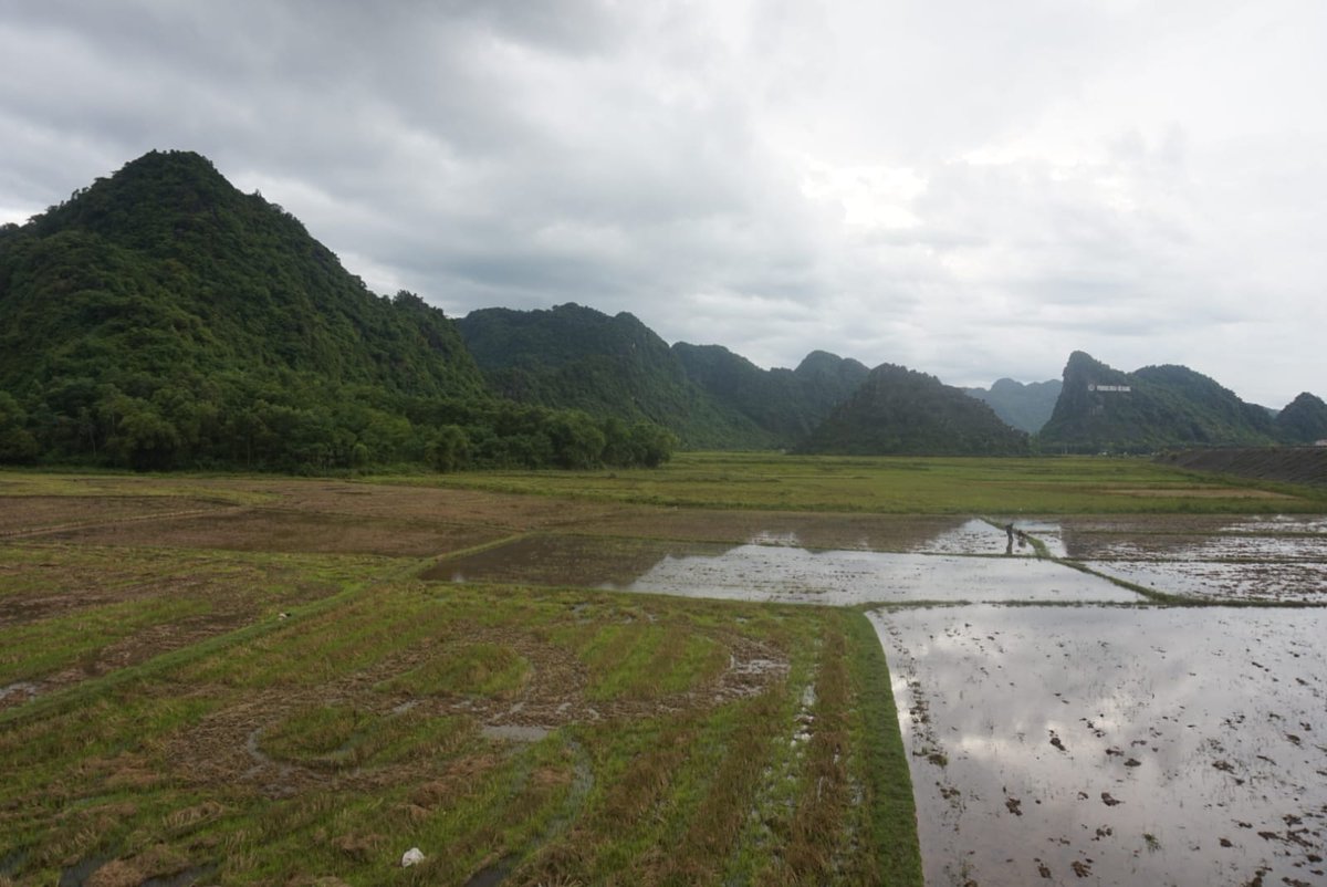 Christ_ian_O's tweet photo. @HR_KOCH @_Meifert @EvaleaGmbh @HRpepper_ @HR_isnotacrime @dgfp @AugenhoeheCamp Das muss so... Mach für die #ChiliChallenge grad ne Fallstudie zu Pflanzenbewässerung in #Vietnam #NationalPark #evalea https://t.co/mu3SQlUT3O